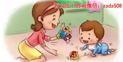 经颅磁刺激仪多少钱?孩子智力低下吃什么好