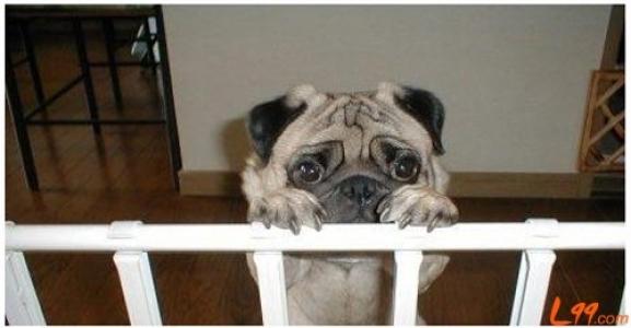 我们不是作，只是生病了|正确认识抑郁症