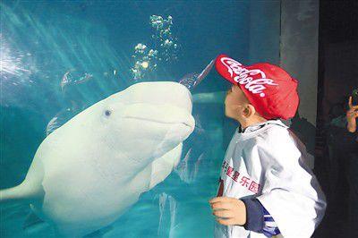 自闭症孩子的健康，你们在乎过吗?